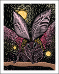 A woodblock style illustration of a rosy maple moth, rendered in pink, black, yellow against a starry night sky with glowing spheres.