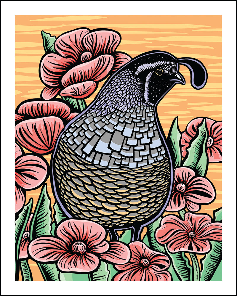 A woodblock style print of a California quail against an orange background and surrounded by pink flowers. 