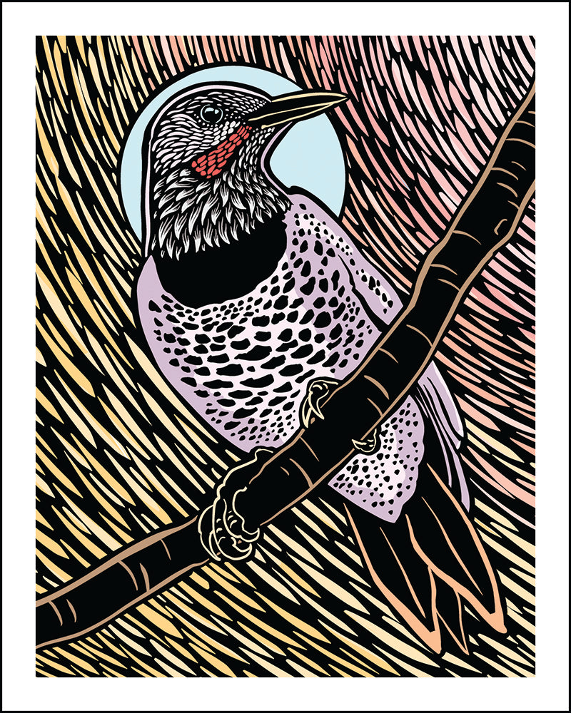 A stylized art print of a flicker perched on a branch, rendered in a graphic, linocut-like design with black, purple, pink, yellow, and light blue areas.