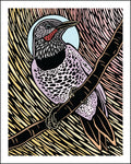 A stylized art print of a flicker perched on a branch, rendered in a graphic, linocut-like design with black, purple, pink, yellow, and light blue areas.