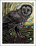 Illustration of an owl on a branch with a starry night background