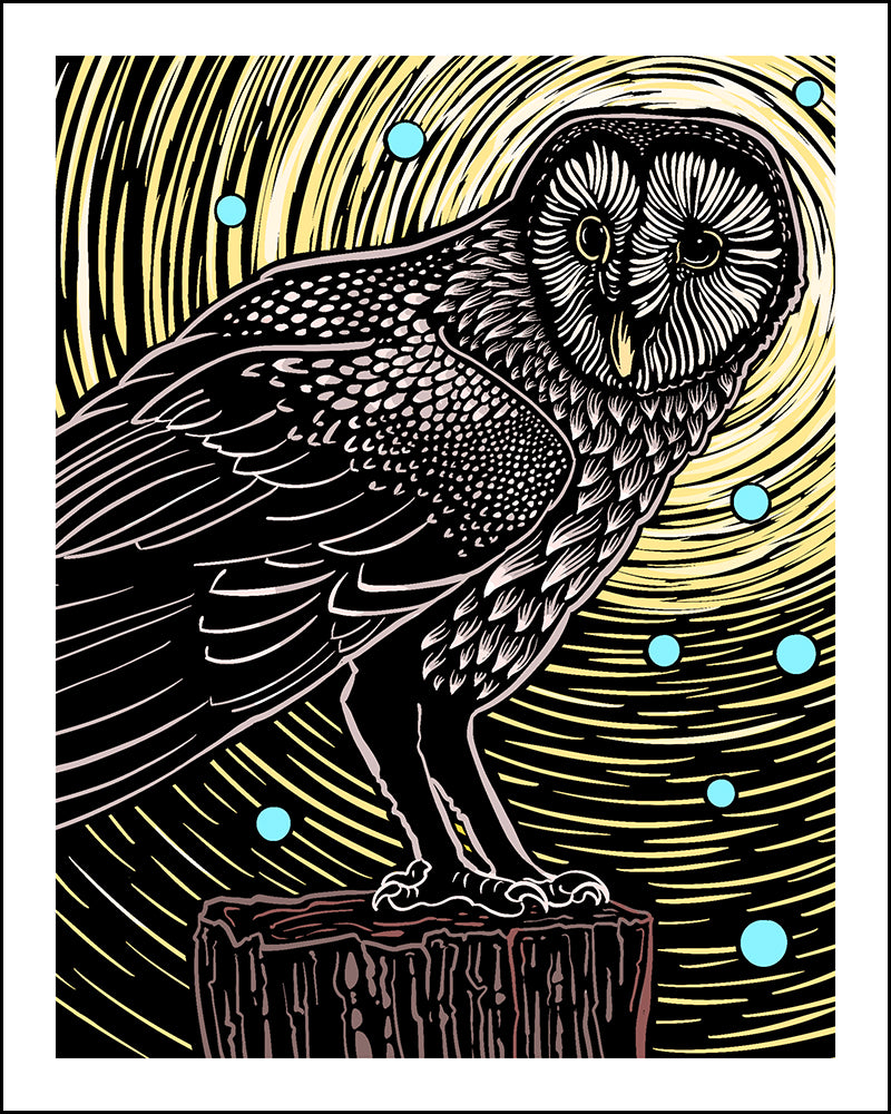 Illustration of an owl on a branch with a starry night background
