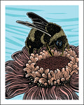 A stylized illustration of a bumblebee on a pink and orange flower, set against a light blue background with a white border.