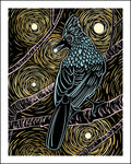 Woodblock-style illustration of a steller’s jay against a starry background.