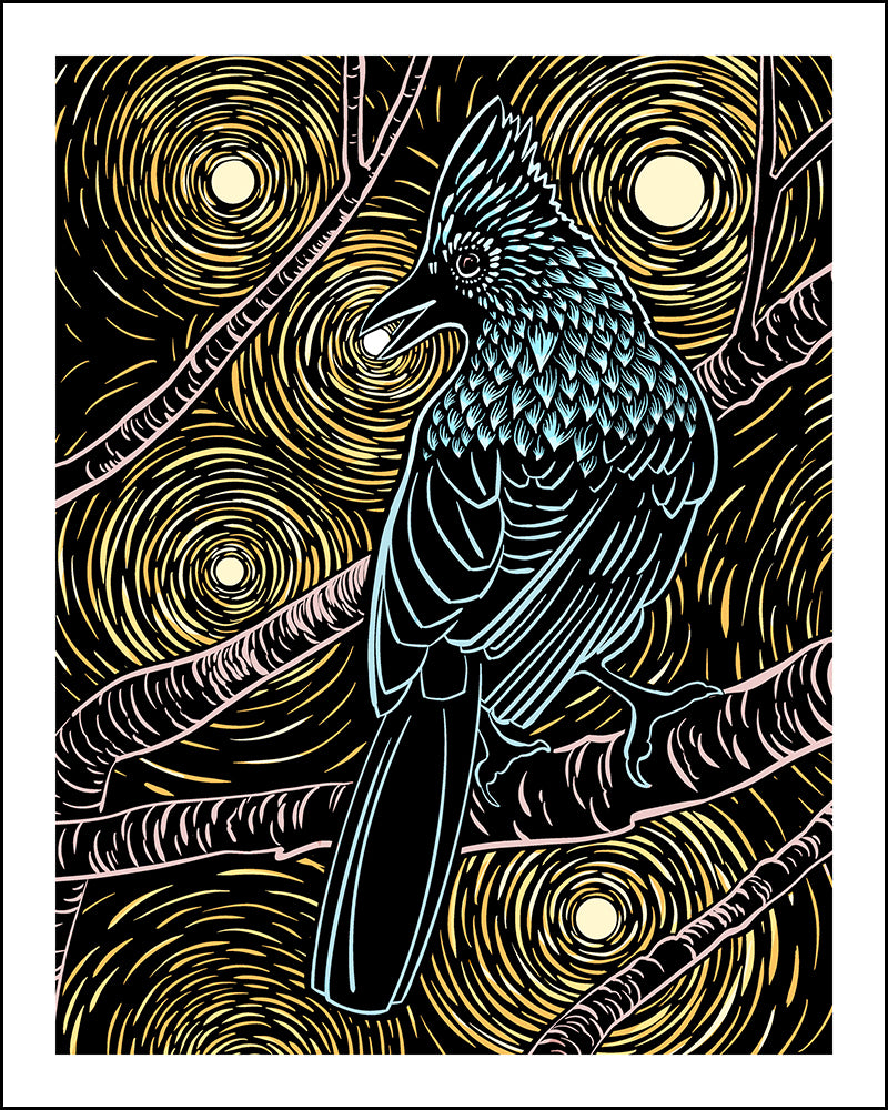 Woodblock-style illustration of a steller’s jay against a starry background.