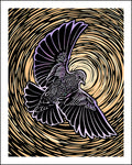 Woodblock-style illustration of a starling with a swirling, concentric circle pattern in the background.