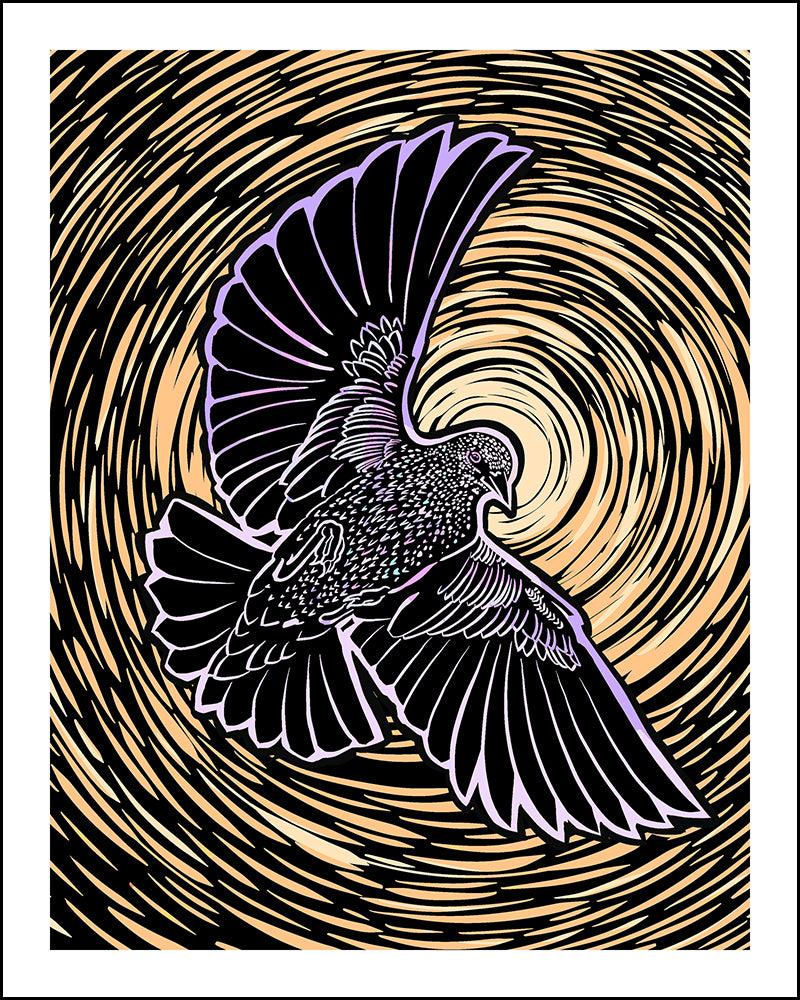 Woodblock-style illustration of a starling with a swirling, concentric circle pattern in the background.