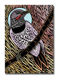 A greeting card featuring a stylized woodcut-style illustration of a flicker perched on a branch, with a light blue oval background behind the head and a pink and beige striped textured backdrop. The bird has black, white, and lavender-gray patterning with a small red accent near the beak.