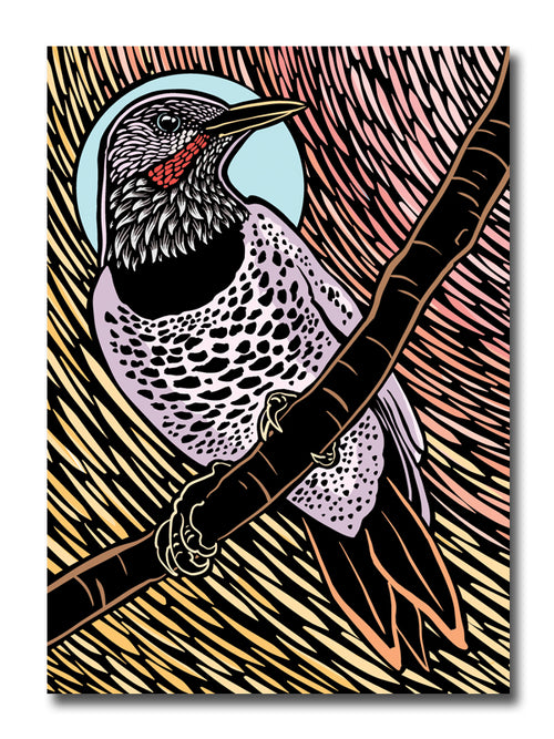 A greeting card featuring a stylized woodcut-style illustration of a flicker perched on a branch, with a light blue oval background behind the head and a pink and beige striped textured backdrop. The bird has black, white, and lavender-gray patterning with a small red accent near the beak.