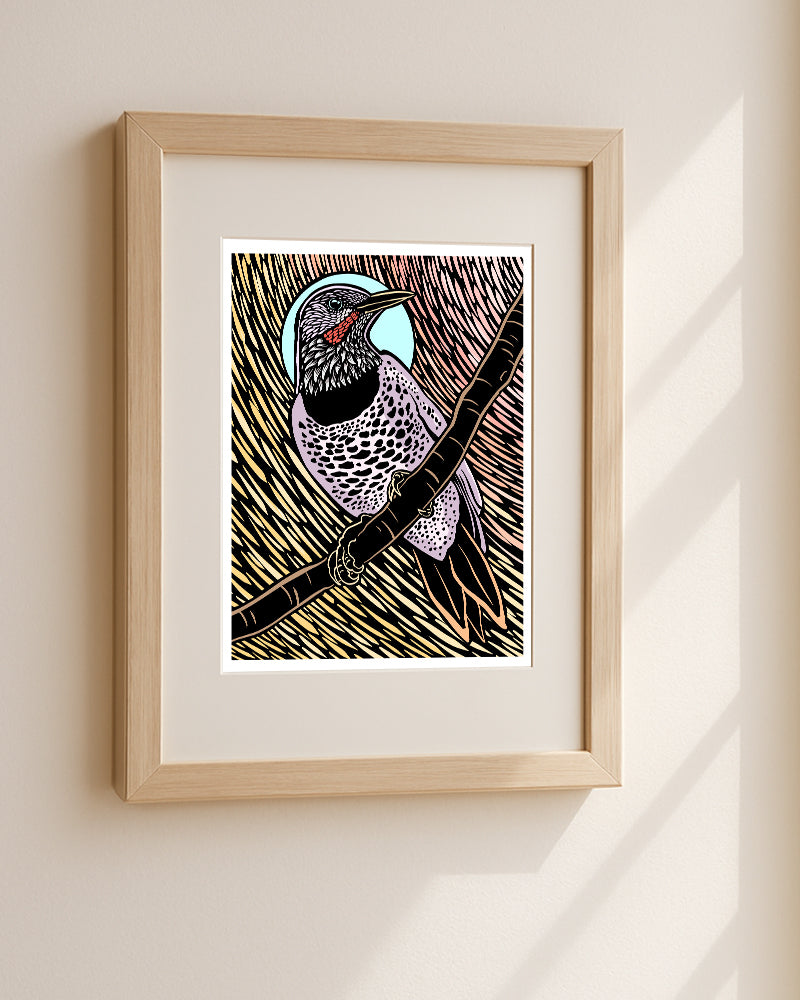 A framed art print featuring a stylized art print of a flicker perched on a branch, rendered in a graphic, linocut-like design with black, purple, pink, yellow, and light blue areas, displayed on a light beige wall with soft window shadows.