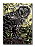 Illustration of an owl on a branch with a starry night background