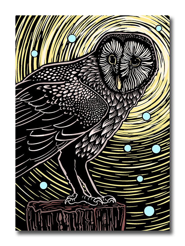 Illustration of an owl on a branch with a starry night background