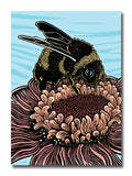 A 5x7 greeting card featuring a stylized woodcut style illustration of a bumblebee perched on a large pink flower