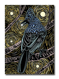 Woodblock-style illustration of a steller’s jay with glowing stars behind it.